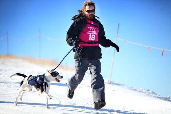 Winning 'Townies' Thomas Kugler from Queenstown with his boarder collie cross Piva